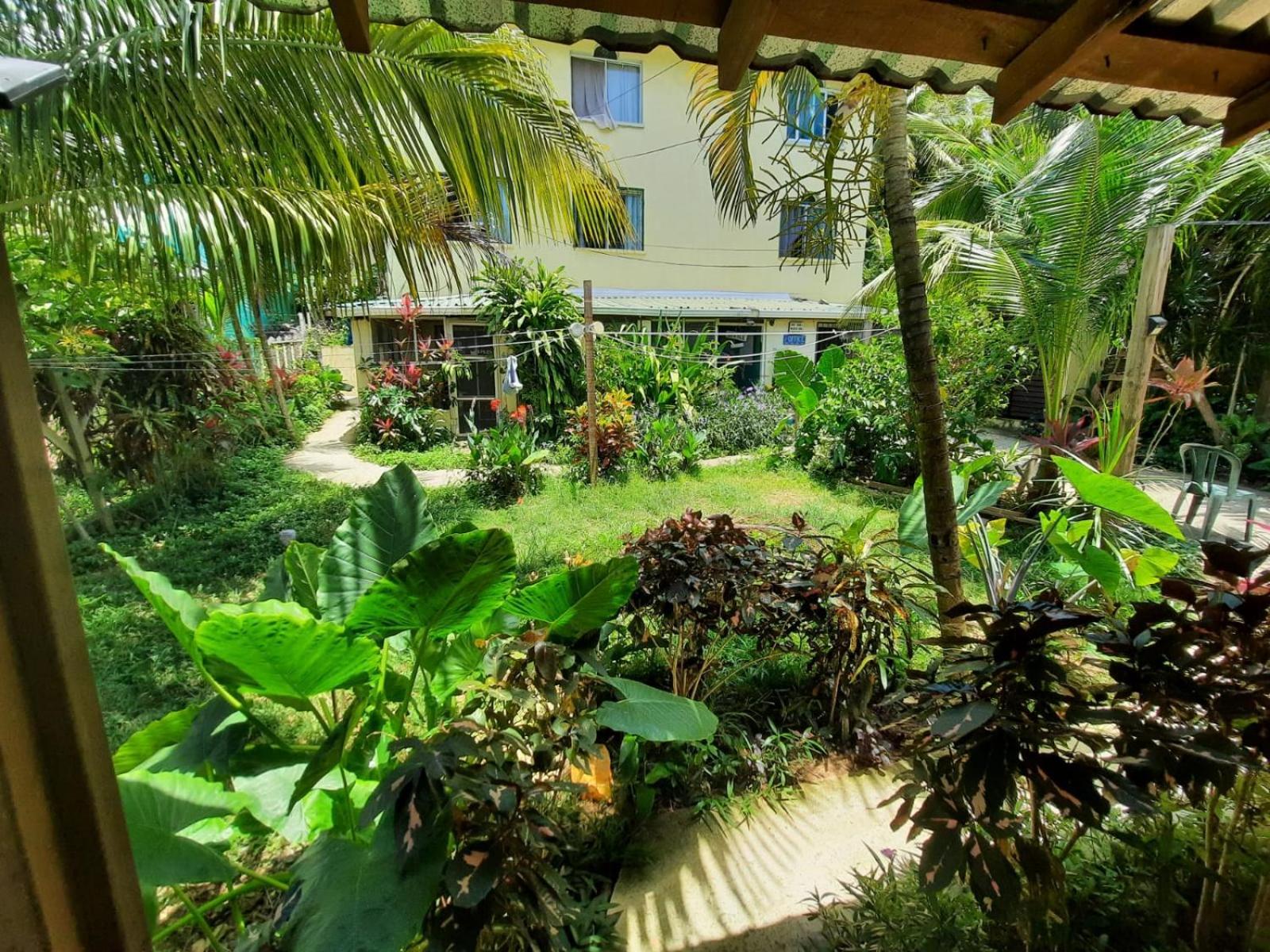 Roatan Backpackers' Hostel Sandy Bay Bagian luar foto