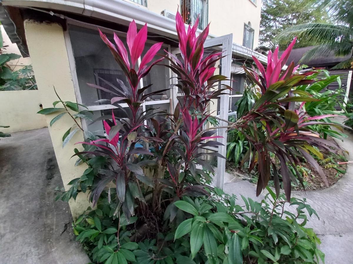Roatan Backpackers' Hostel Sandy Bay Bagian luar foto