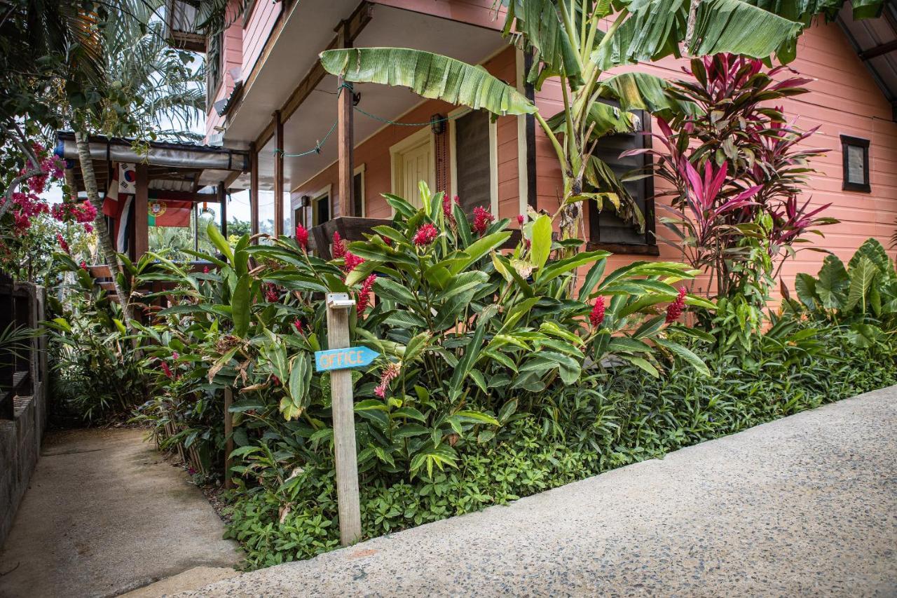 Roatan Backpackers' Hostel Sandy Bay Bagian luar foto